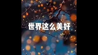 201510 世界这么美好25089