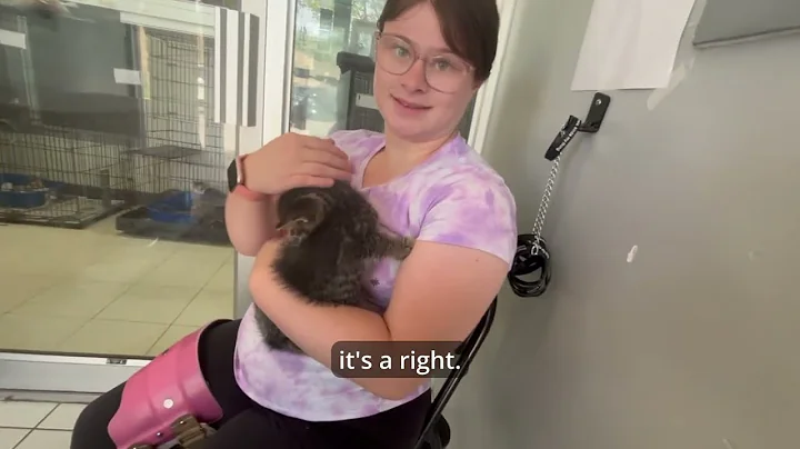 What Values guide us?