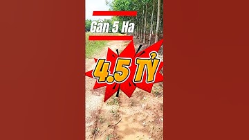 Đất Dầu Tiếng I Một lô đất 5 Ha Làm Trang Trại Không thể bỏ qua #datdautieng