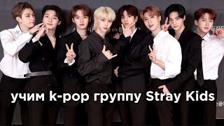 :  k-pop  Stray Kids/  Stray Kids | vetmifi