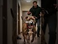 Rescue Pitbull Fights Home Invader For 12 Minutes to Save Sleeping Baby