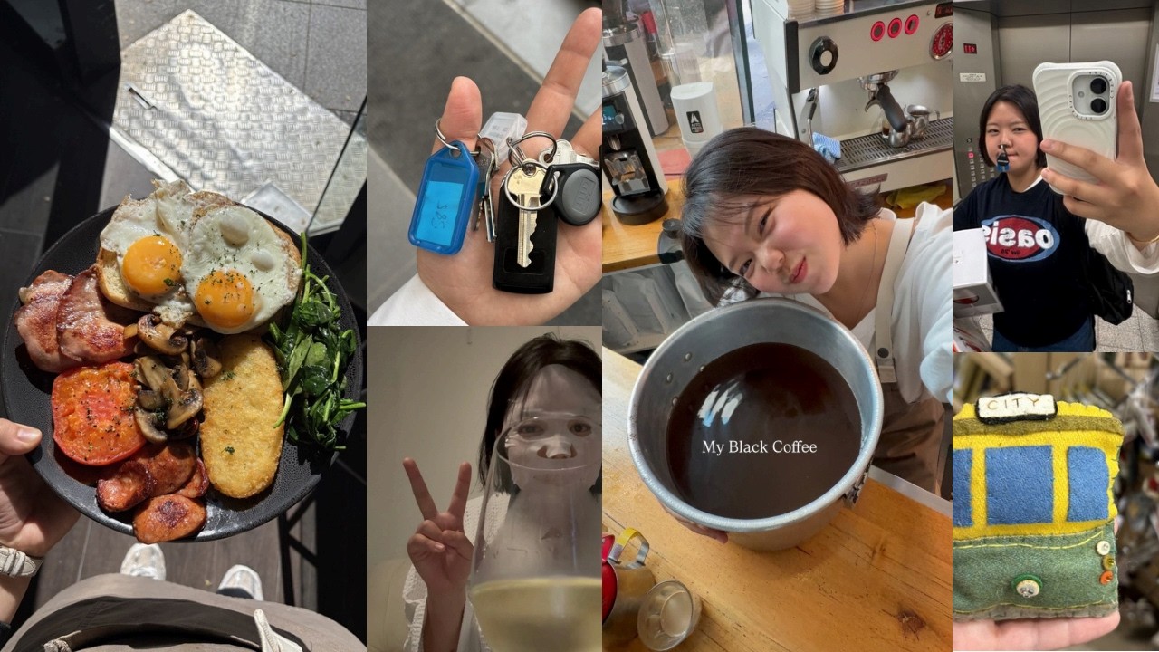 vlog. 오아시스 콘서트, 카 레이싱 관람, 도서관 투어