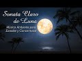 SONATA CLARO DE LUNA de Beethoven Música Clásica Relajante #moonlightsonata
