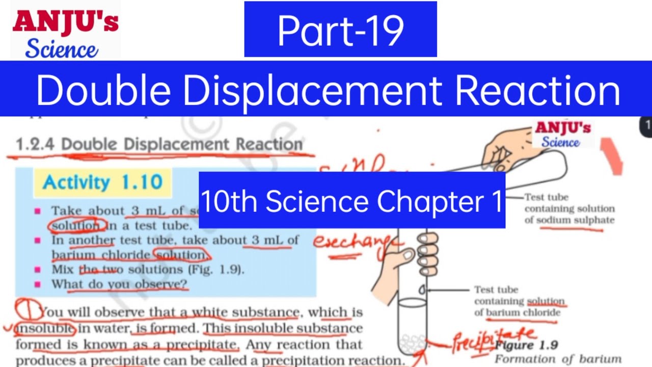 Double Displacement Reaction Activity 1.10 Class 10 Chapter 1 Science # ...