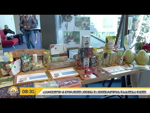 #ბიზნესპარტნიორი მესამე პირისადმი პასუხისმგებლობის დაზღვევა პირველი იანვრიდან ამოქმედდება