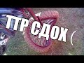 ТТР 250 СДОХ!