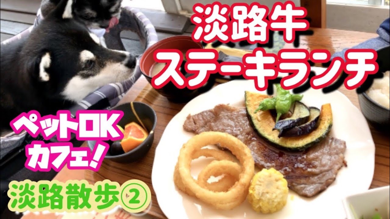 ワンコ同伴okカフェで淡路牛ステーキ食べよ 淡路島キャンパスcafeカプチーノ 黒柴小梅 チワシーズー杏子 Youtube ワンコ同伴okカフェで淡路牛ステーキ食べよ 淡路島キャンパスcafeカプチーノ 黒柴小梅 チワシーズー杏子 Youtube