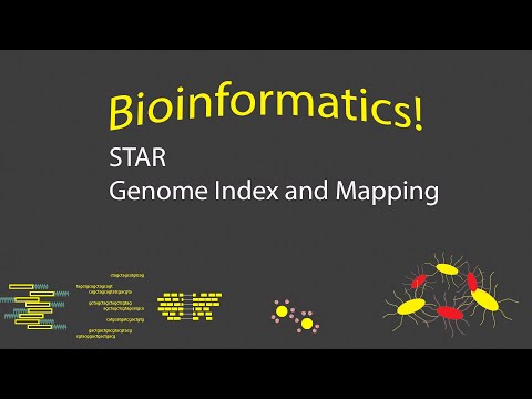 Bioinformatics - Building Genome Index and Aligning with STAR