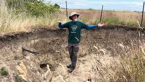 Site 2 Soil Pit Description