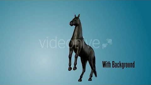 Black Horse Rearing 02 | Motion Graphics - Envato elements