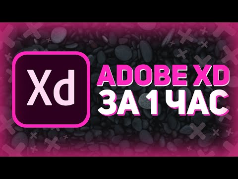 ADOBE XD ЗА 1 ЧАС *Для Разработчика // Все Уроки Adobe Xd В Одном Видео // Лучше чем Figma