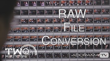 RAW Image Conversion: Two Minute Tips with David Bergman