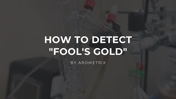 Detecting "Fool