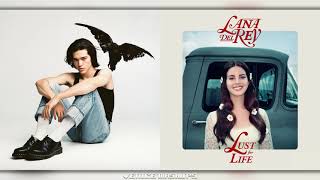 affluenza x white mustang・❥・conan gray, lana del rey (mixed mashup) ✧.·:·.*
