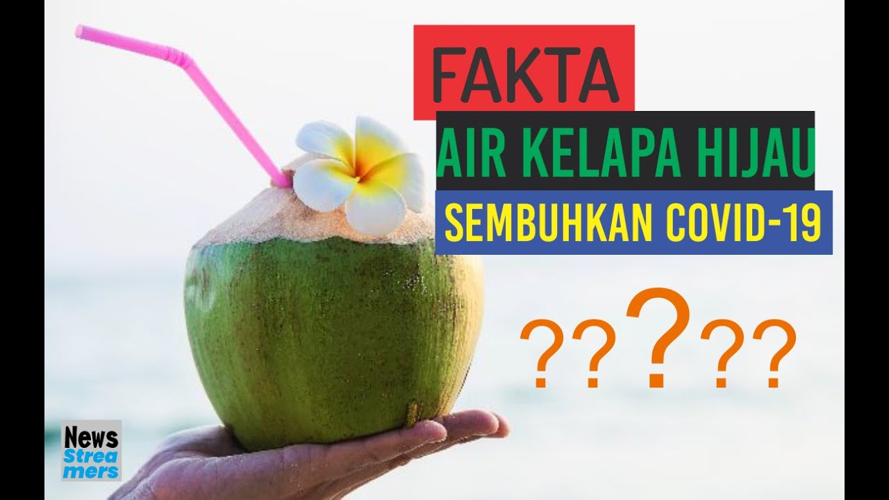 FAKTA air kelapa hijau bisa sembuhkan COVID-19, benar atau isu semata