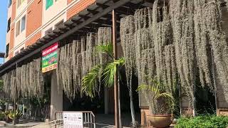VID 20240110 140832 057