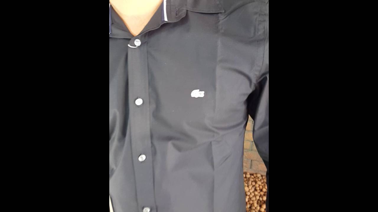 Camisa esporte fino lacoste Clearance