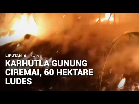 Kebakaran Gunung Ciremai Meluas, 60 Hektare Lahan Hangus | Liputan 6
