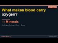Minerals | NEET Class 11 Biology | Synapse