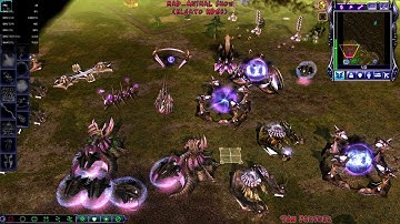 (Special Video)CnC Kane