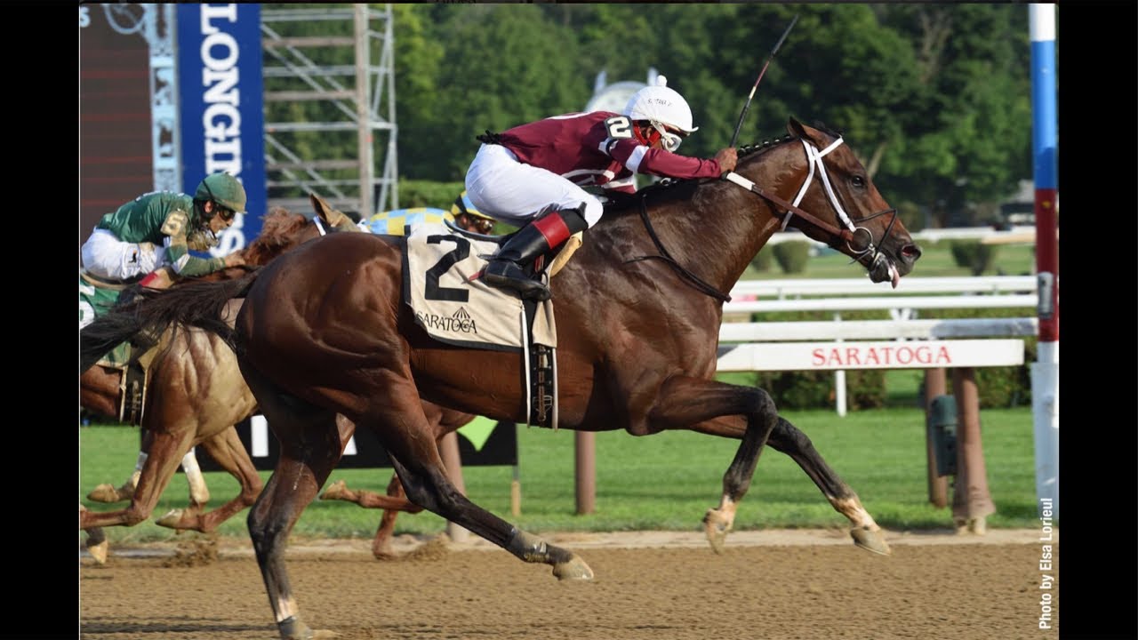 John Ortiz, analizando el programa de hoy lunes, 19 de enero de 2026. Desde GA Jockey Shop.