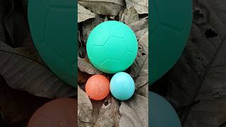 Scary Big Egg And Small Eg On The Dry Leaves horror creepy scary creepypasta ghost egg eggs