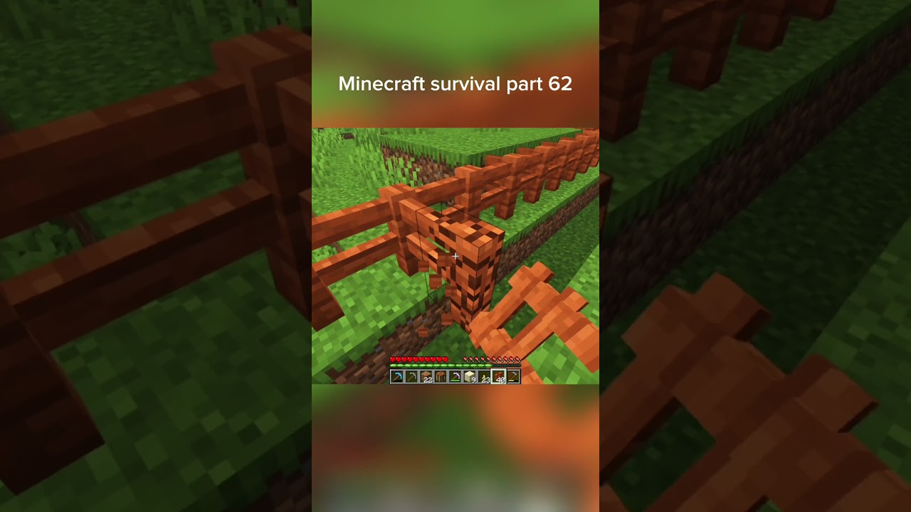 minecraft 1000 short Part Challenge, Part 62