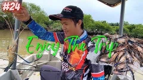 Awal2 Pagi Dah Hujan Lebt‼️Nak Mancing Juga❓ Terma Akibat Nya‼️Mancing Udang Galah Teluk Intan