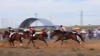 ВПЕРВЫЕ ВЁЛ ПРОГРАММУ | СКАЧКИ ЦАГАН-АМАН |