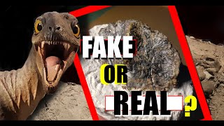 Trying To Trick The Internet With Dinosaur Fossils...