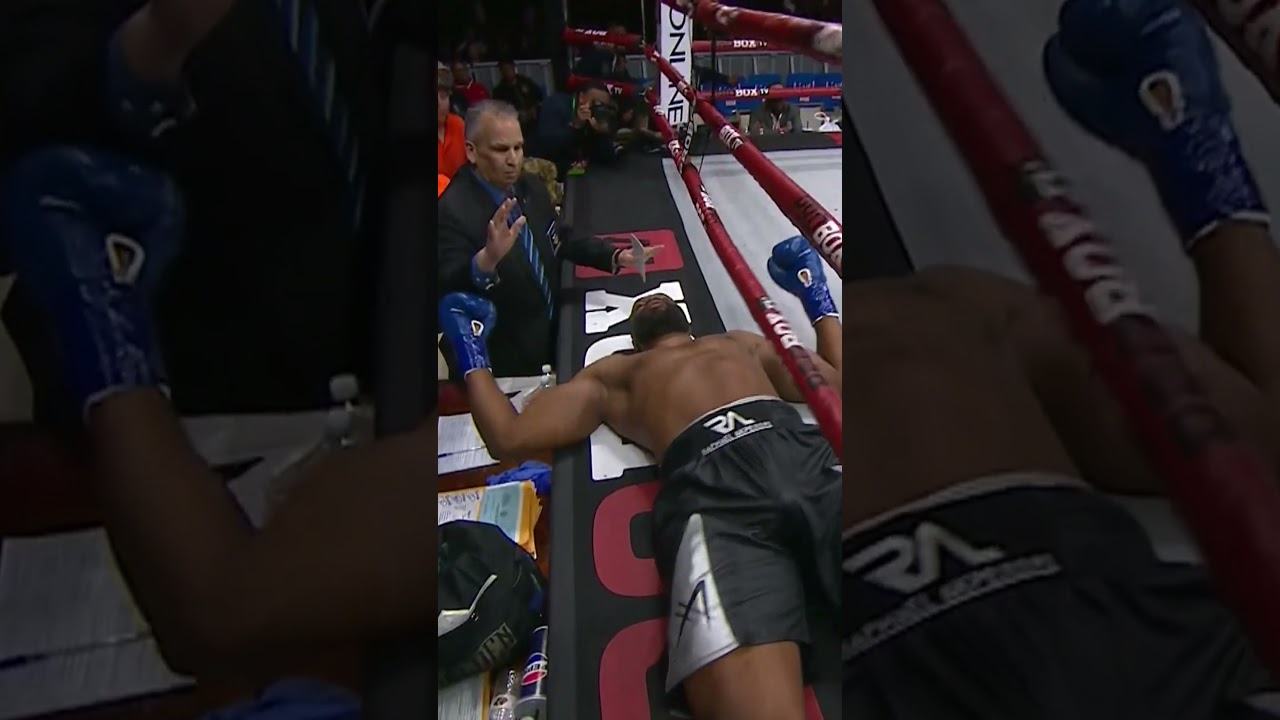 Welcome To ProBox Stephan Shaw 💥