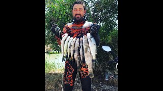 Zıpkın avı 2 bol balık -Beya-Eşkina-Tral-Kınalı (Spearfishing Turkey)