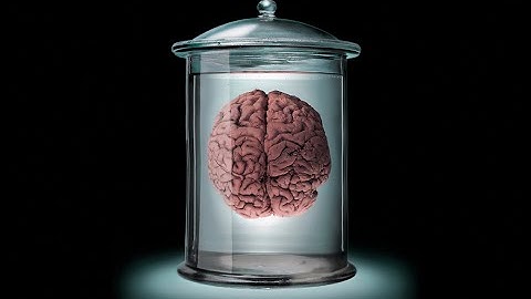 How to make a brain in a jar in minecraft.
