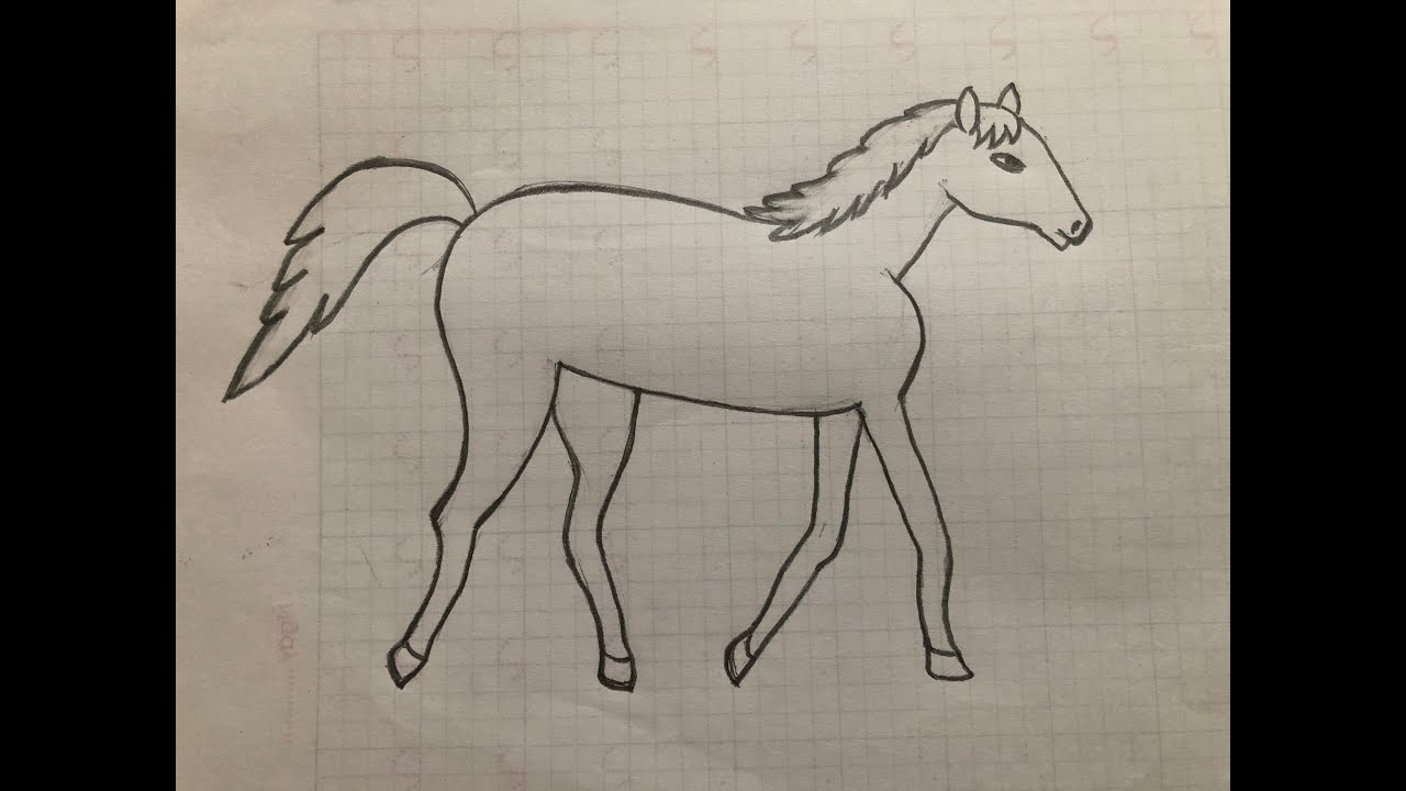 Cách Vẽ Con Ngựa Đơn Giản | Hướng Dẫn Vẽ Con Ngựa Bằng Bút Chì Cho Bé | How  To Draw A Horse - Youtube