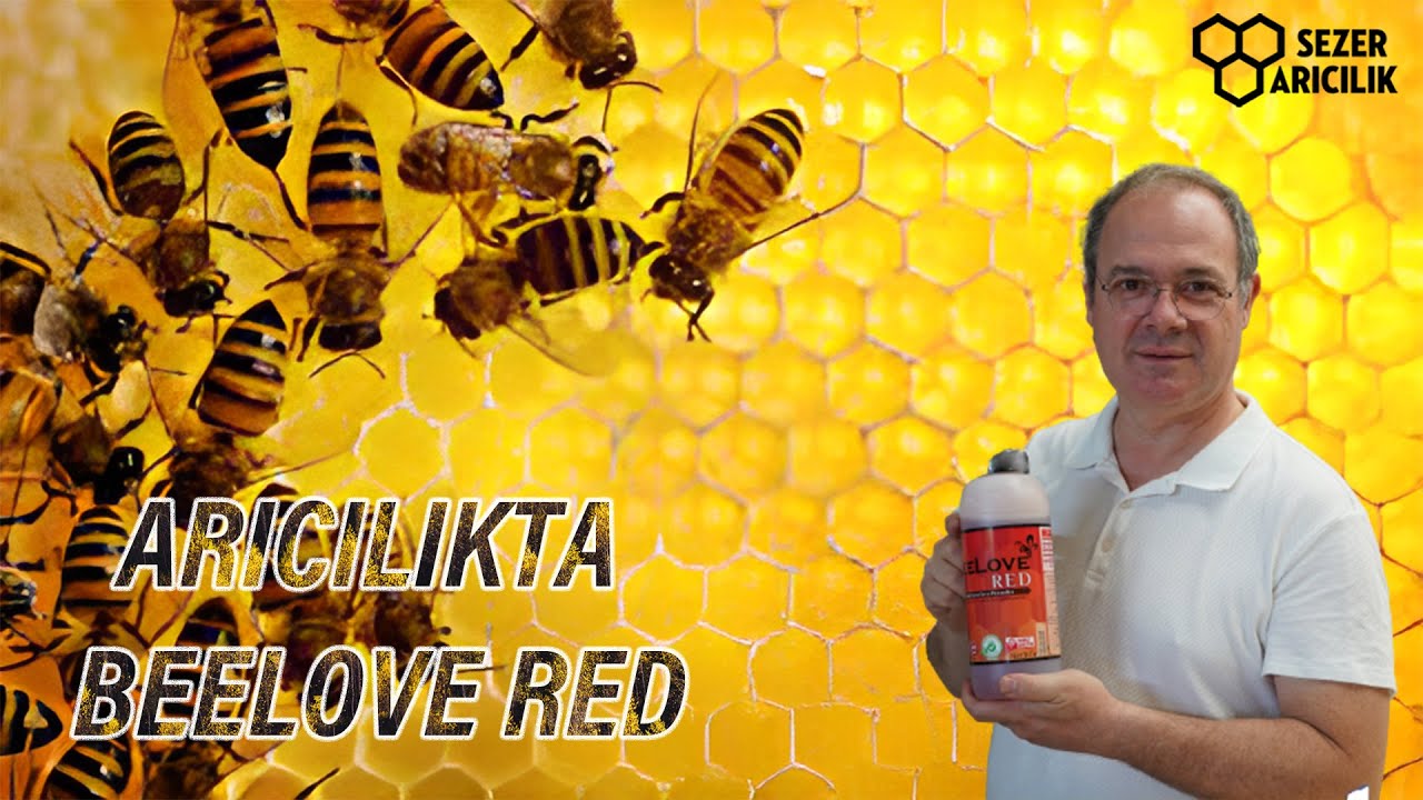 BEE LOVE RED!!!