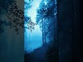 Into the Blue Haze • Twilight Forest Ambience #darkforest #darkambient #aesthetic