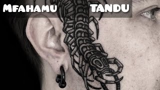Chunga Tandu,SUMU YAKE,Maisha na Matibabu yake akisha kuuma