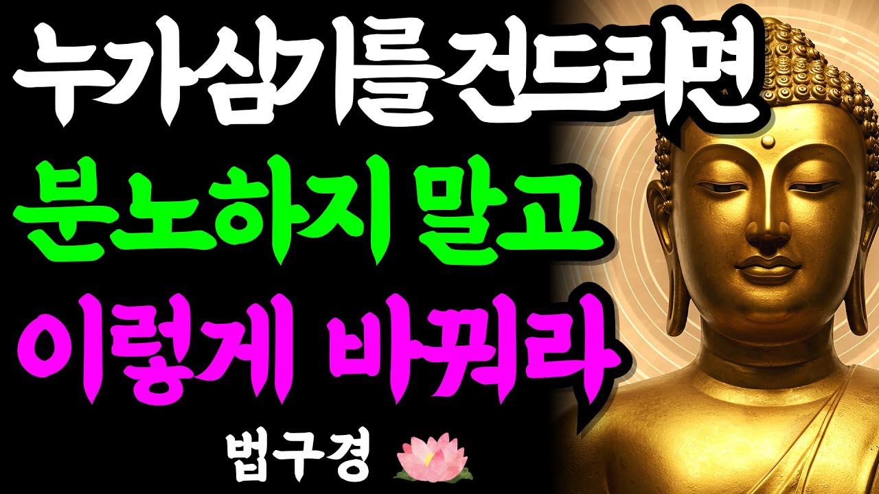 누가 내 심기를 건드리면, 이렇게만 하라 | 분노를 지혜로 바꾸는 부처님의 가르침 | 법구경 | 부처님 말씀 | 석가모니 | 불교명언 | 불교오디오북