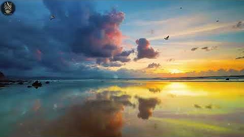 سورة القلم كامله سبحان من رزقه هذا الصوت  القارئ ياسر الزيلعي   مبدع Surah Al Qalam