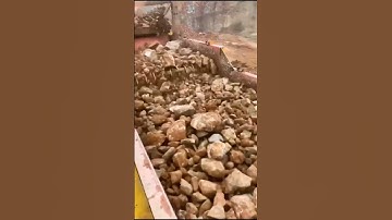 wobbler feeder for sticky bulk material roller screen for limestone coal