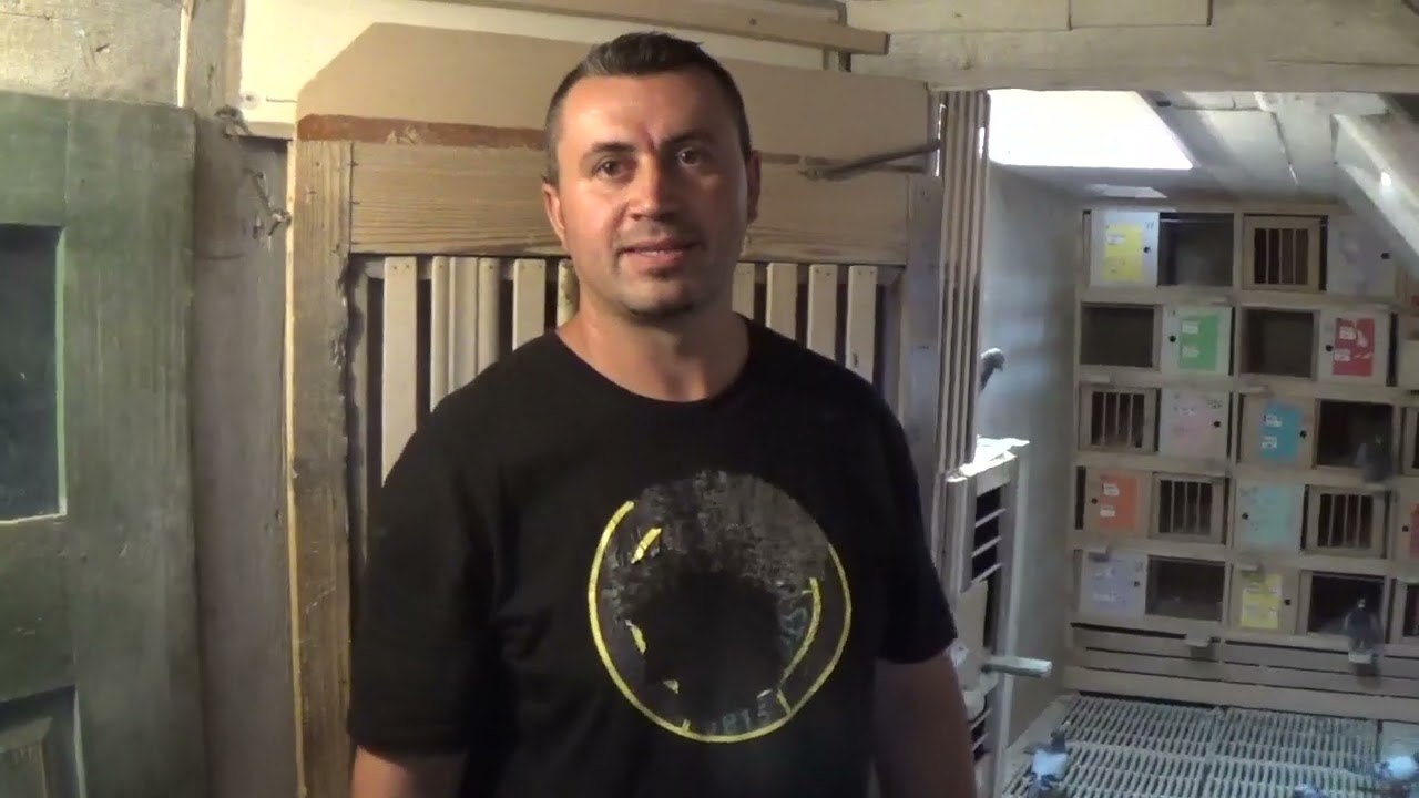 Columbofili Negrea Sandu si Alex Sibiu Romania porumbei de zbor 1 septembrie 2023