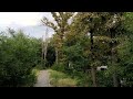 В Бишкеке в парке Ататюрка засыхают деревья