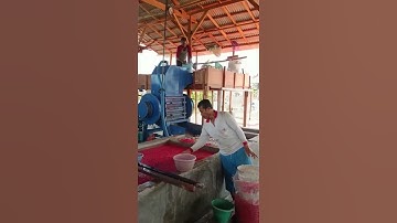 Proses Pencucian Tutup Botol Plastik Bekas,#prosespencucian#plastikbekas#feedshorts#shorts#viral