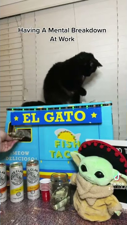 I Quit! #tiktok #funnycats #cats #tiktokvideo @thedivakats
