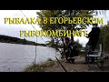 Егорьевский Рыбокомбинат платная рыбалка 10 пруд