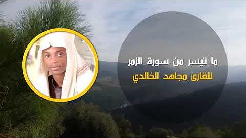 ماتيسر من سورة الزمر للقارئ مجاهد الخالدي