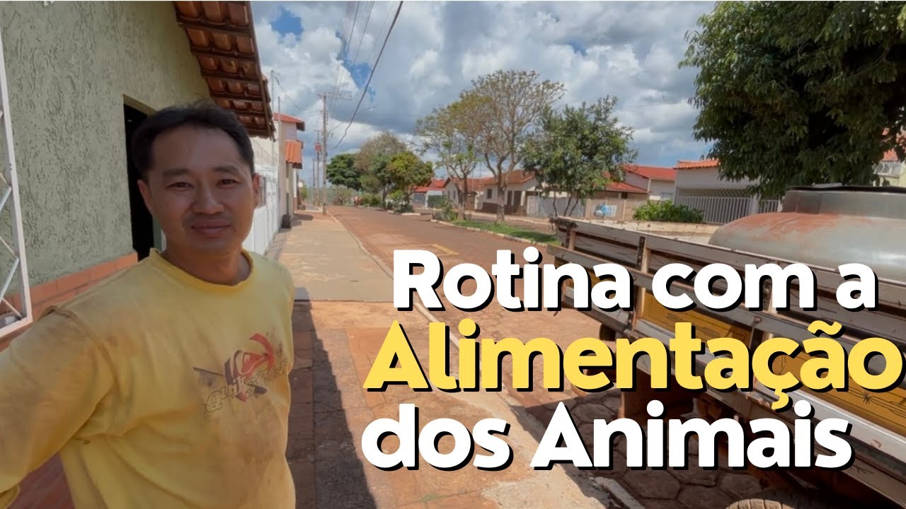 ROTINA COM A ALIMENTAÇÃO DOS ANIMAIS NO SÍTIO
