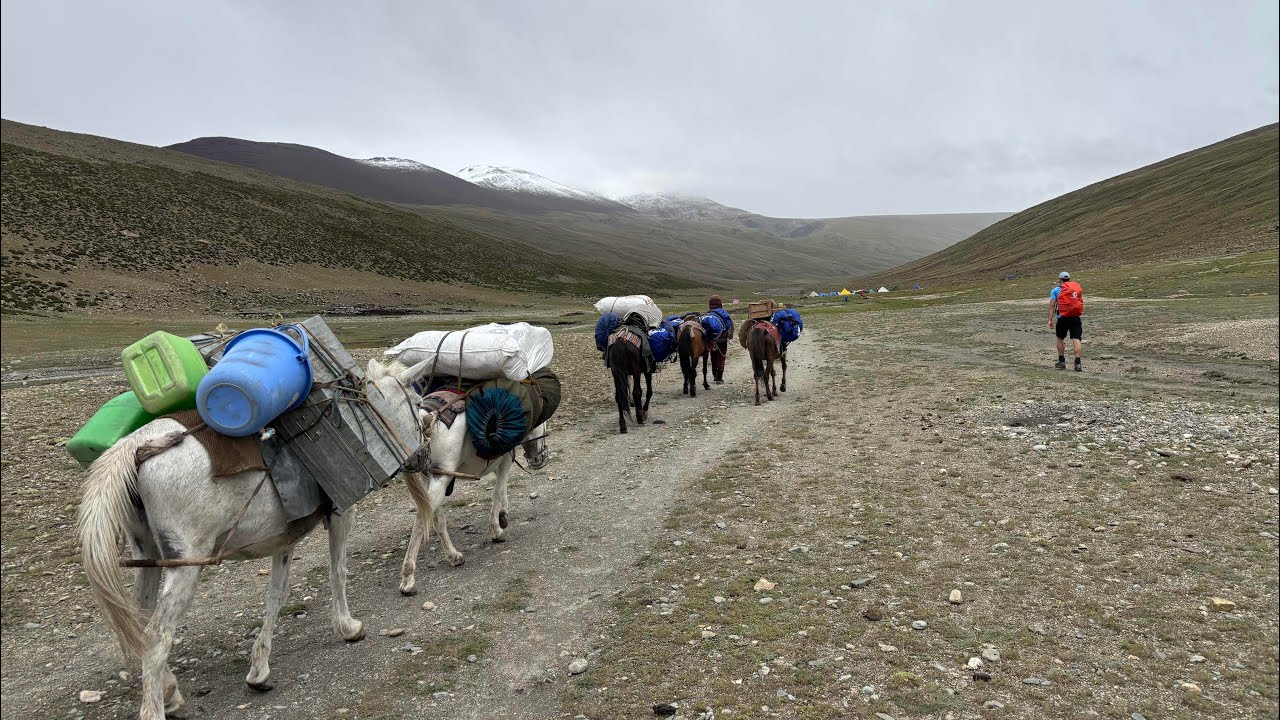 Markha Valley Trek - Ladakh