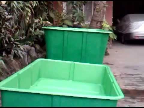 Fiberglass Aquaponics Philippines Home Kit - YouTube