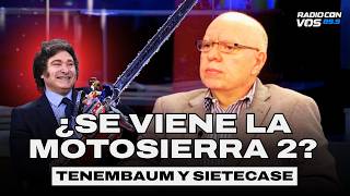¿Qué dijo JORGE FERNÁNDEZ DÍAZ sobre MILEI ? l TENEMBAUM y SIETECASE?